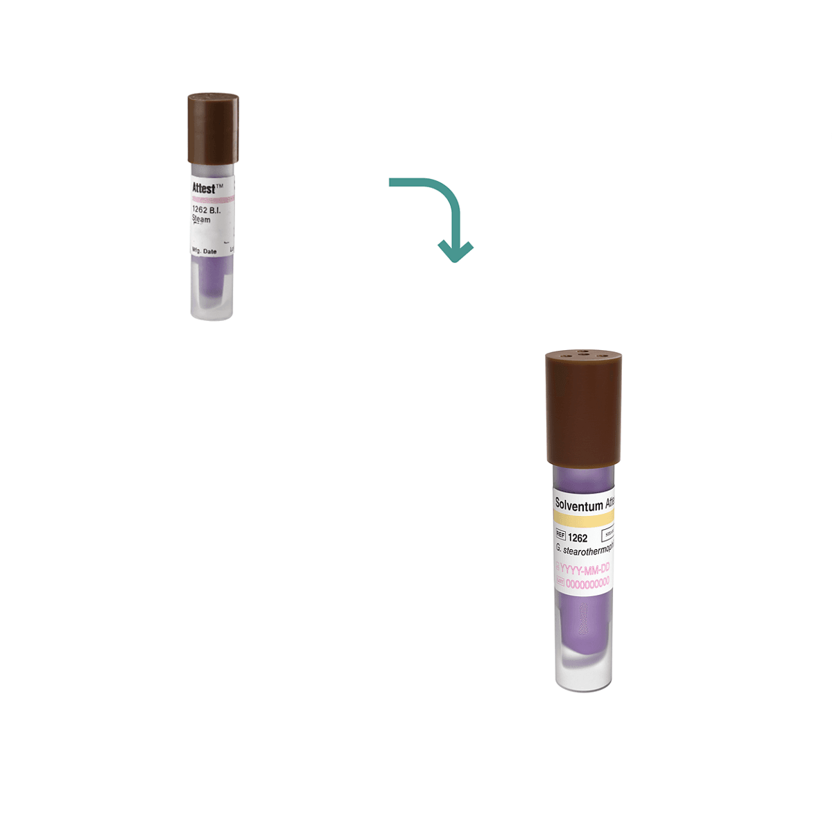 3M™ Attest™ Steam Biological Indicator, 1262, Brown Cap, 48 hr, 100/CAR, 4 CAR/CS, 400/CS - Consumables - R2,249 | WiZmed Medical Equipment South Africa 3M™ Attest™ Steam Biological Indicator, 1262, Brown Cap, 48 hr, 100/CAR, 4 CAR/CS, 400/CS - Consumables - R2,249 | WiZmed Medical Equipment South Africa